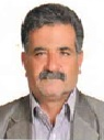 محمد رضا امانی لری
